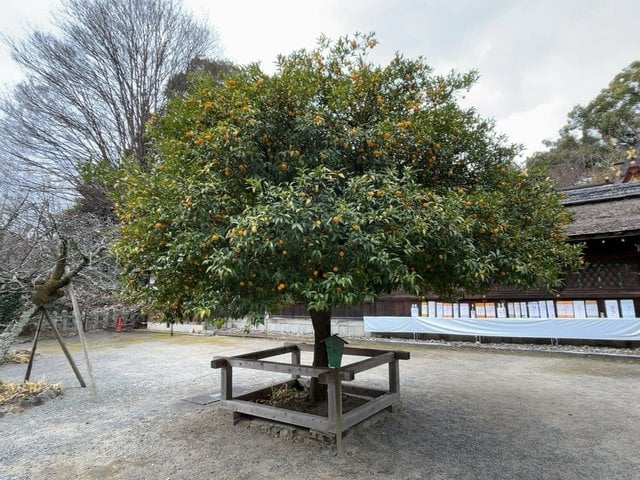 (299062)