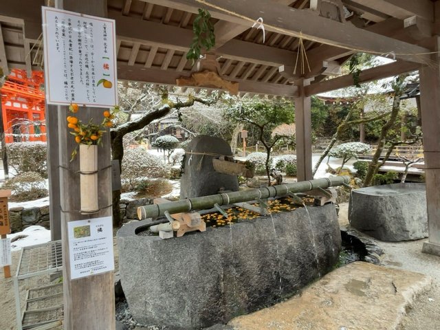 (300663)