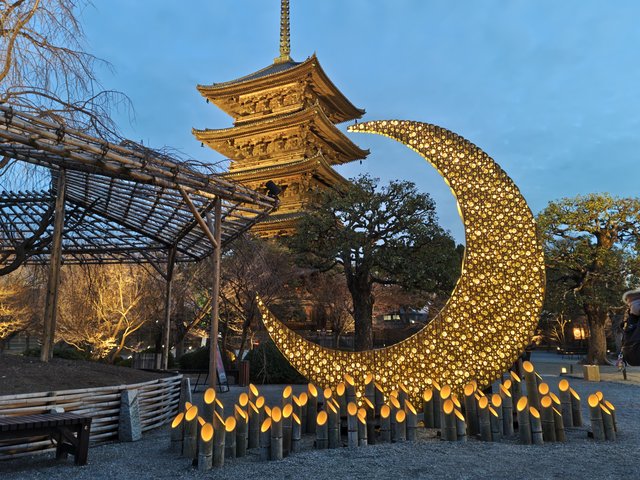 藤花 (302983)