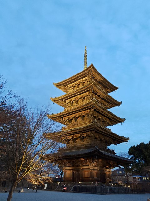 藤花 (302984)