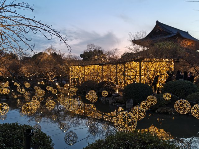 藤花 (302985)