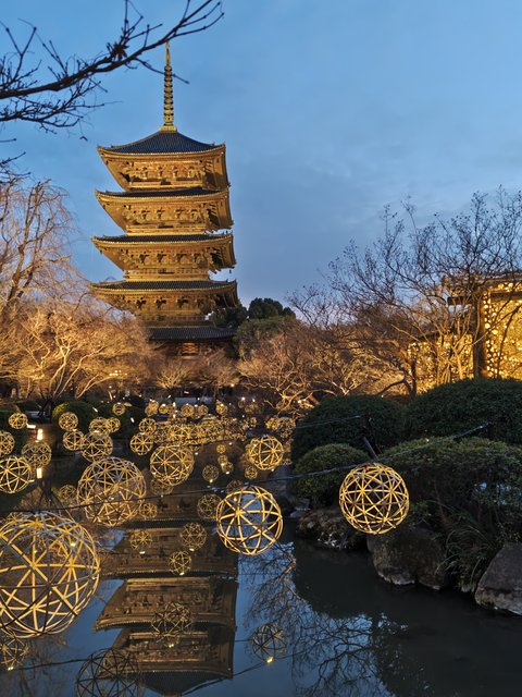 藤花 (302990)
