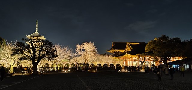 藤花 (303001)