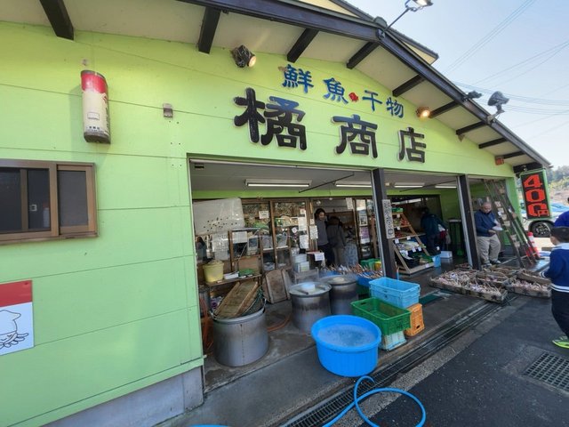 (304185)