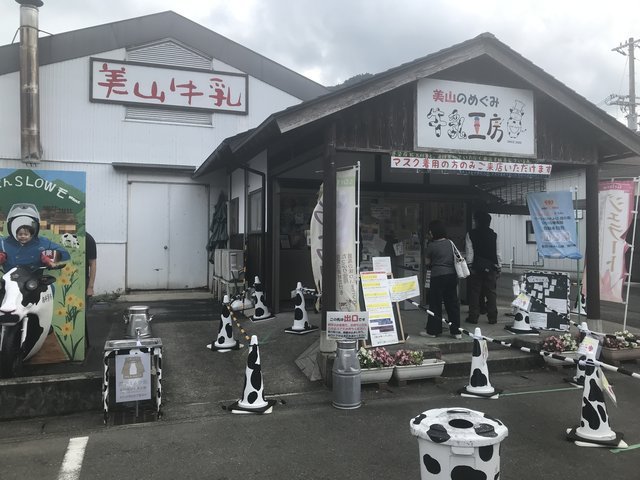 (305023)
