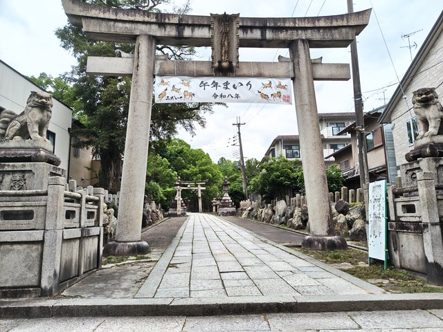 藤花 (311587)