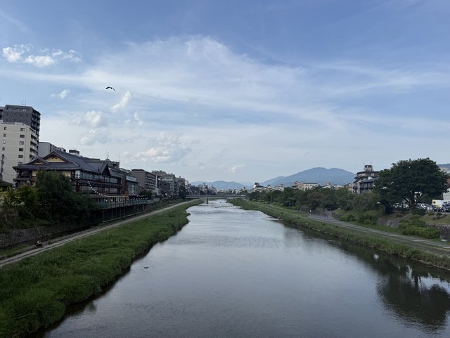 (317804)