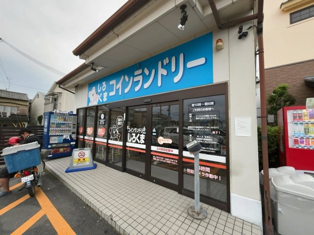 (319368)