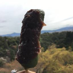 つきはし