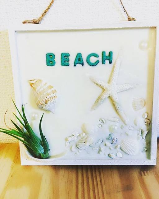 オシャレな人の家には必ずある 大人気エアプランツの魅力 Voyage