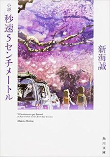 小説 秒速5センチメートル (39303)