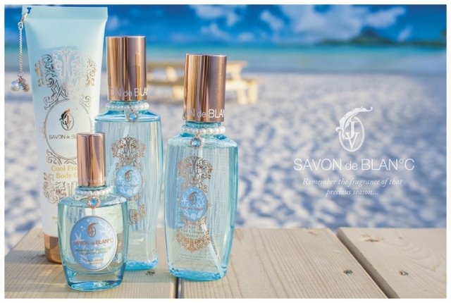 9132d6a4-7667-4e82-a2f3-