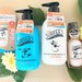ビーチ好き必見!"サーファーズダイアン"からディズニーデザイン限定ボトルが発売!使用感レビュー有!