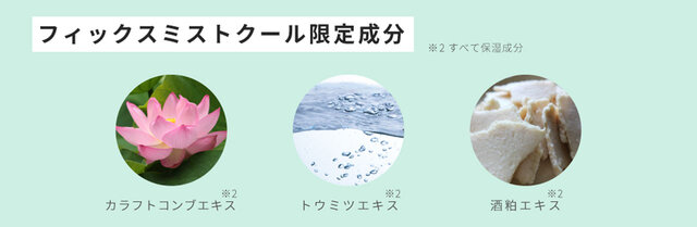 タイムシークレット フィックスミスト クール