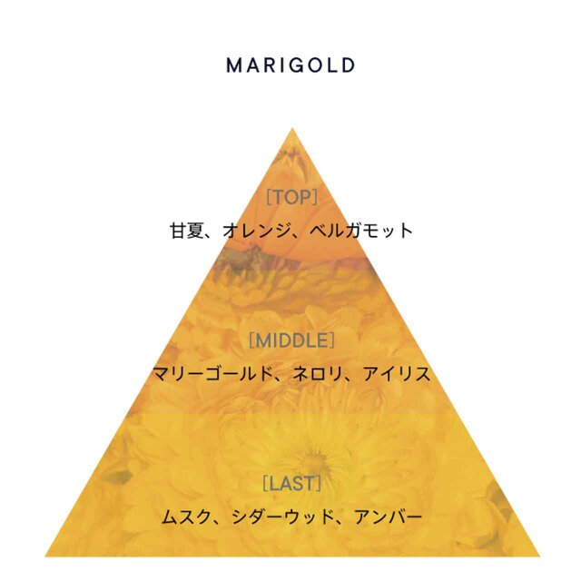 SHIRO/シロ『マリーゴールド』