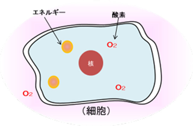 イプサ ME アルティメイトe(イメージ)酸素リッチではない状態