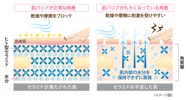 CEZANNE/セザンヌ「濃密スキンコンディショナー ミルク」