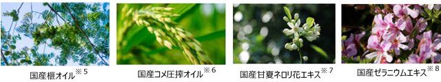 ARGELAN「アルジェラン モイストグロー ヘアバーム」