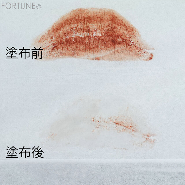 ANNA SUI THE LIP COAT(アナ スイ ザ リップ コート)