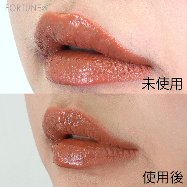 ANNA SUI THE LIP COAT(アナ スイ ザ リップ コート)