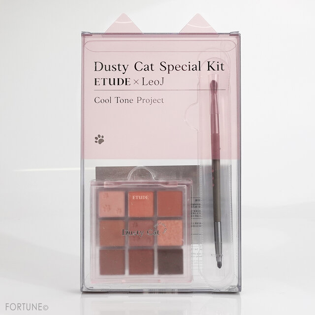 ETUDE(エチュード)プレイカラーアイズ ダスティキャット スぺシャルキット
