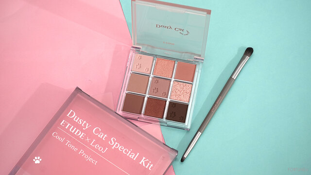 ETUDE(エチュード)プレイカラーアイズ ダスティキャット スぺシャルキット