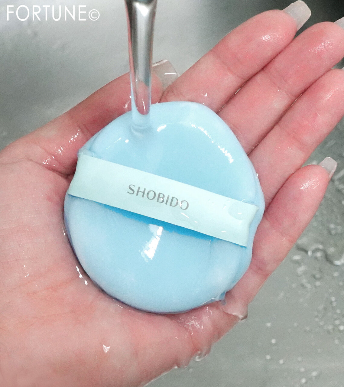 SHOBIDO（粧美堂）　『Wet＆Dryパフ』