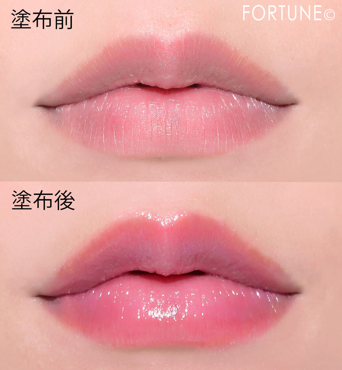 ANNA SUI COSMETICS（アナ スイ コスメティックス）『アナ スイ ブルー ローズ ルージュ A』