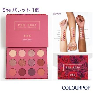 COLOURPOP 大人気 アイシャドウパレット (561547)