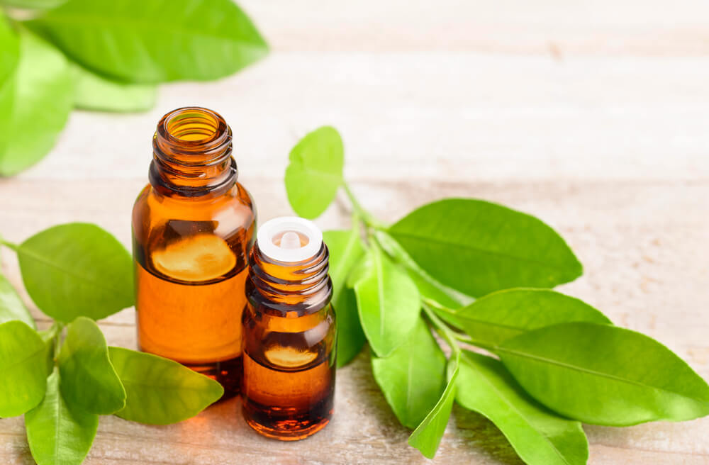 自律神経のバランスを整えるプチグレン 特徴や効能 おすすめの香水を紹介 Her Elegance