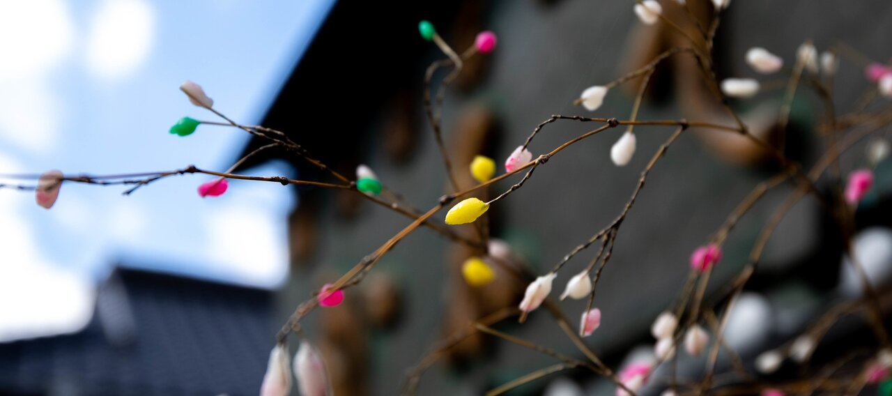 小正月とは？小正月におすすめの日本酒3選