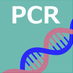 入門者のためのPCRの原理