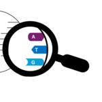 RNA-Seq  で見えた“その先”を、どう確かめる？