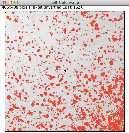 輝度にむらがある場合の粒子解析 Imacel Academy 人工知能 画像解析の技術応用に向けて エルピクセル株式会社