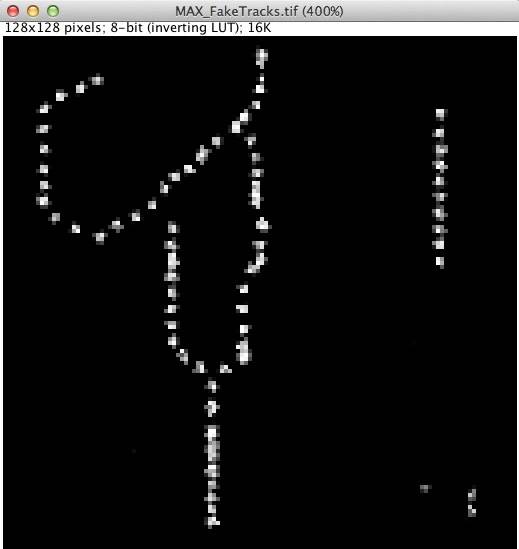 確認(´∇｀)★①画像4枚 細胞の移動量を調査 - IMACEL Academy -人工知能・画像解析の技術応用