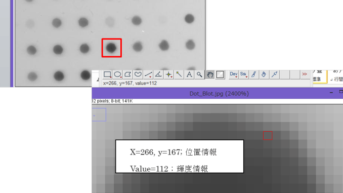 確認(´∇｀)★①画像4枚 シリーズ1．ImageJの基礎～画像とは～ - IMACEL Academy -人工知能