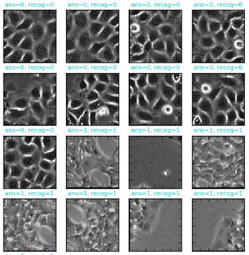 細胞種を機械学習で判別する！ - IMACEL Academy -人工知能・画像解析