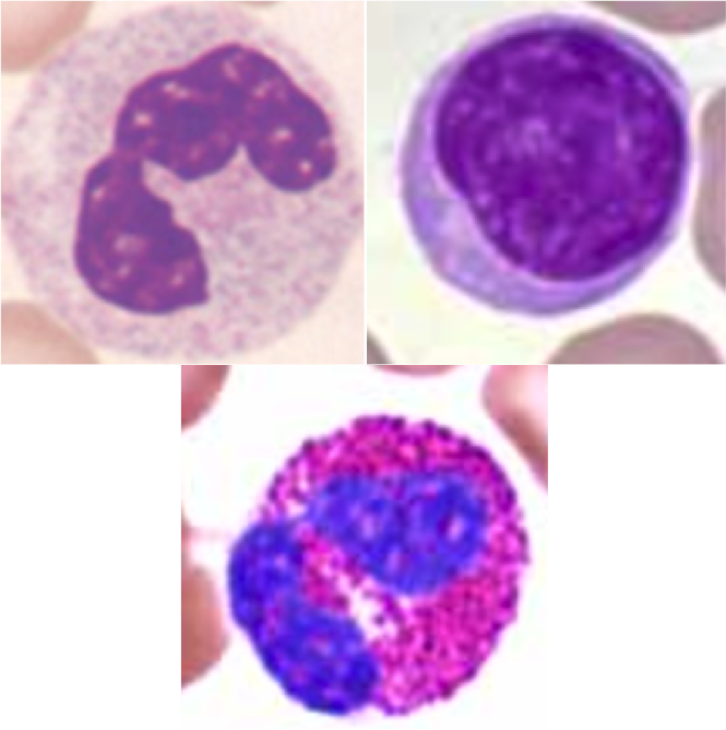 Deep Learningで画像認識 Kerasで畳み込みニューラルネットワーク Vol 3 Imacel Academy 人工知能 画像解析の技術応用に向けて エルピクセル株式会社