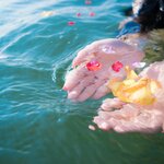 憧れのアーユルヴェーダ式オイルスパ！「シロダーラ」とは？