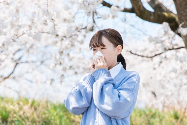 花粉で髪がパサパサするのはなぜ?原因と落とし方・防ぎ方を紹介