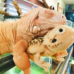展示会にキュンです♡ Vol.14