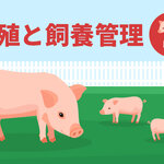 繁殖と飼養管理 ー豚編ー