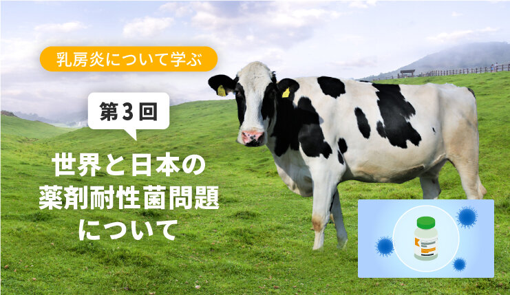 乳房炎について学ぶ【第3回】 世界と日本の薬剤耐性菌問題について