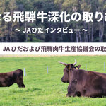 更なる飛騨牛深化の取り組み ～JAひだインタビュー～　第1回 JAひだおよび飛騨肉牛生産協議会の取り組み