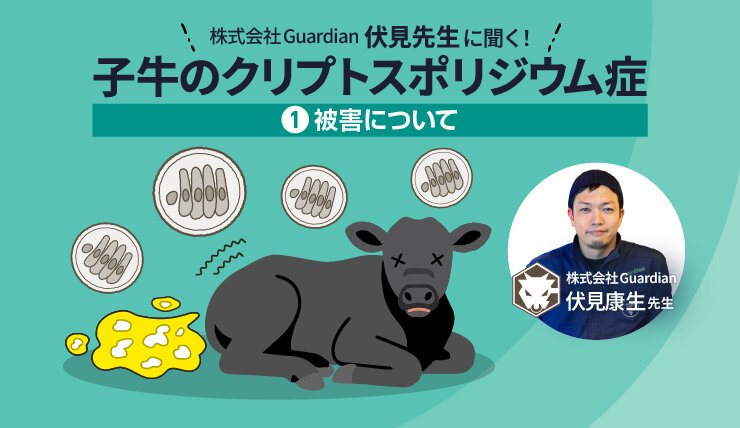 伏見康生先生に聞く！「子牛のクリプトスポリジウム症」　第1回 ー被害についてー
