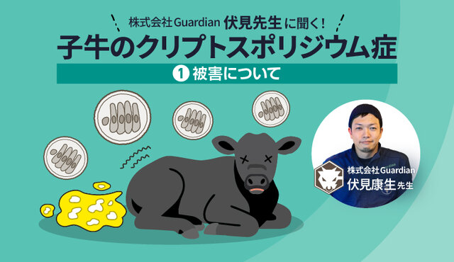 橋本 康太