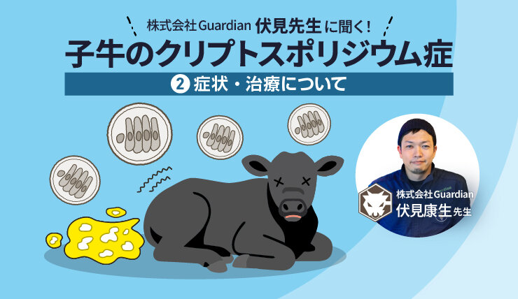 伏見康生先生に聞く！「子牛のクリプトスポリジウム症」　第2回 ー症状・治療についてー