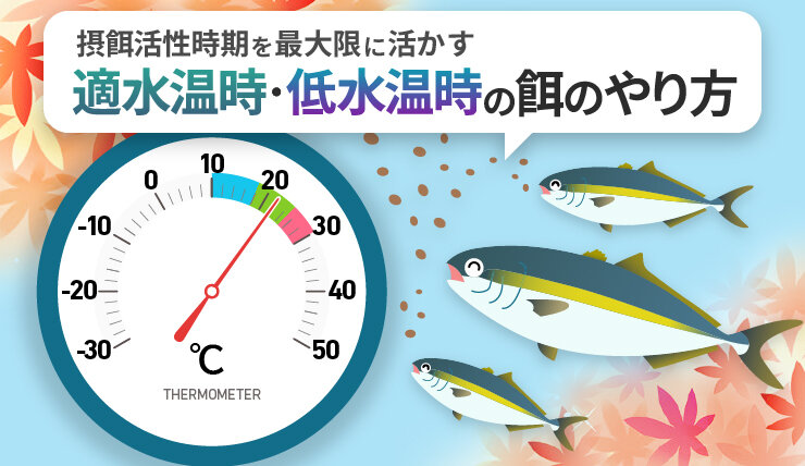 摂餌活性時期を最大限に活かす　適水温時・低水温時の餌のやり方