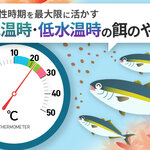摂餌活性時期を最大限に活かす　適水温時・低水温時の餌のやり方