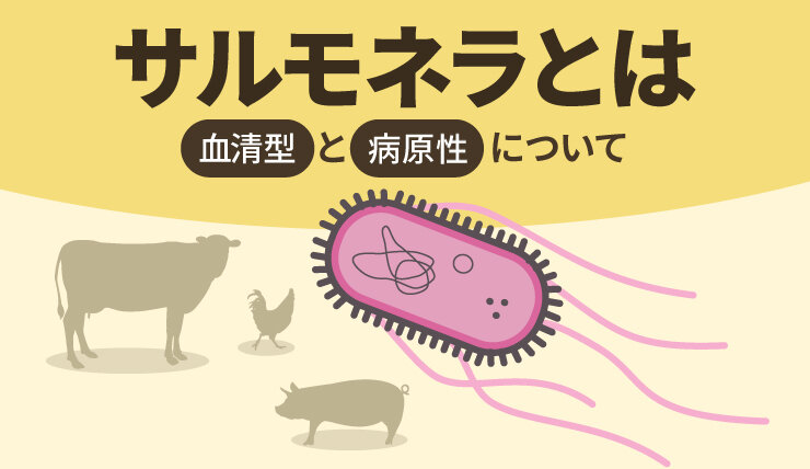 サルモネラとは ―血清型と病原性について―